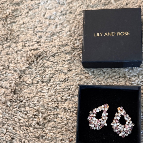 Ray-Ban Aviator+D&G Sunglasses+ Earrings Lily and Rose - Picture 3 of 9